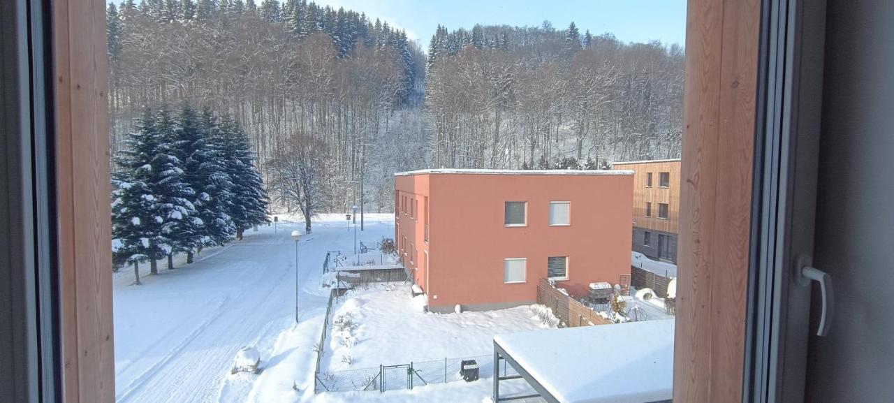 Apartman Nely Svoboda nad Upou Bagian luar foto