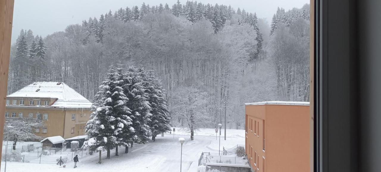 Apartman Nely Svoboda nad Upou Bagian luar foto
